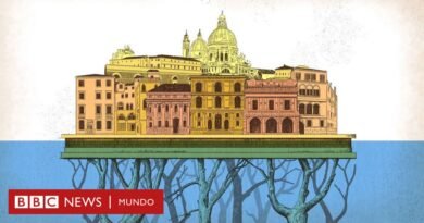 Cómo un 