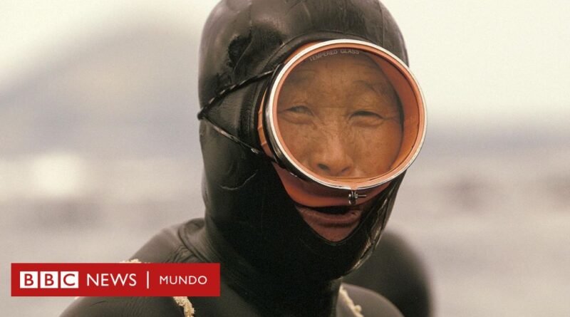 Haenyeo, las legendarias buceadoras coreanas con una ventaja genética que puede ayudar a tratar enfermedades - BBC News Mundo