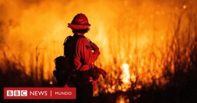 La desesperada carrera por salvar décadas de datos sobre el cambio climático y el clima extremo que están siendo borrados por el gobierno de Trump - BBC News Mundo