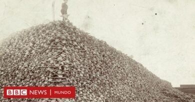 La foto de la montaña de cráneos de bisonte que revela una infame historia de Estados Unidos - BBC News Mundo