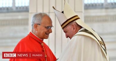 Las numerosas coincidencias entre el papa León XIV y su predecesor Francisco - BBC News Mundo
