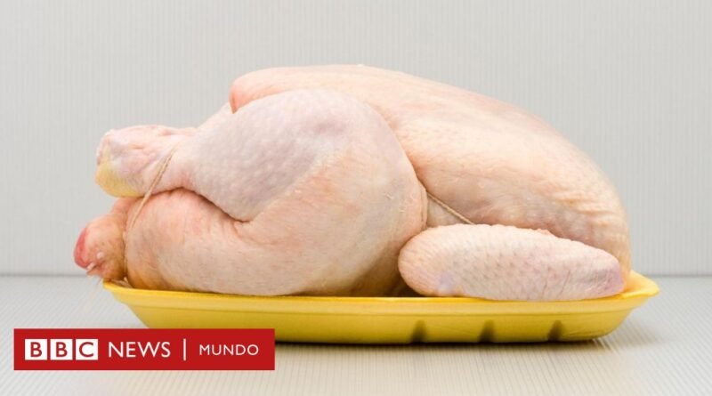 Por qué Europa no quiere el pollo de EE.UU. y qué países de América Latina lo compran - BBC News Mundo