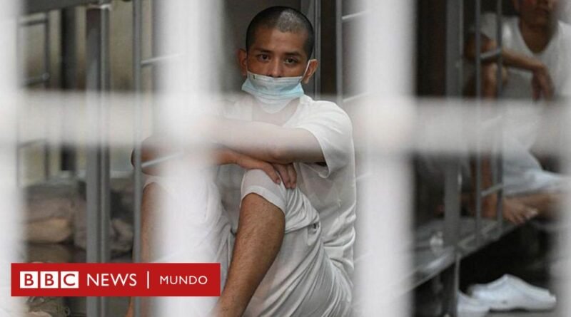 Un juez federal prohíbe a Trump deportar a venezolanos bajo Ley de Enemigos Extranjeros - BBC News Mundo