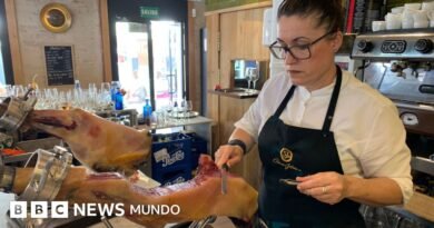 Cómo los aranceles de Trump en EE.UU. empujan a los productores españoles a buscar otros mercados - BBC News Mundo