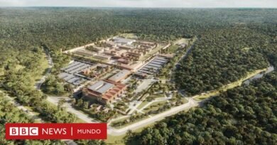 Cómo será la nueva cárcel de máxima seguridad de Francia en la Amazonía y por qué acusan a París de querer reinstalar una 