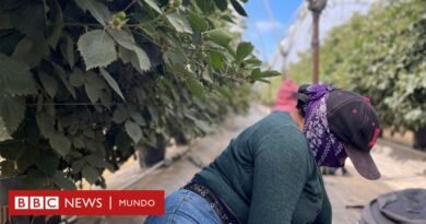 El temor de los migrantes que se esconden de las redadas en Oxnard, la 