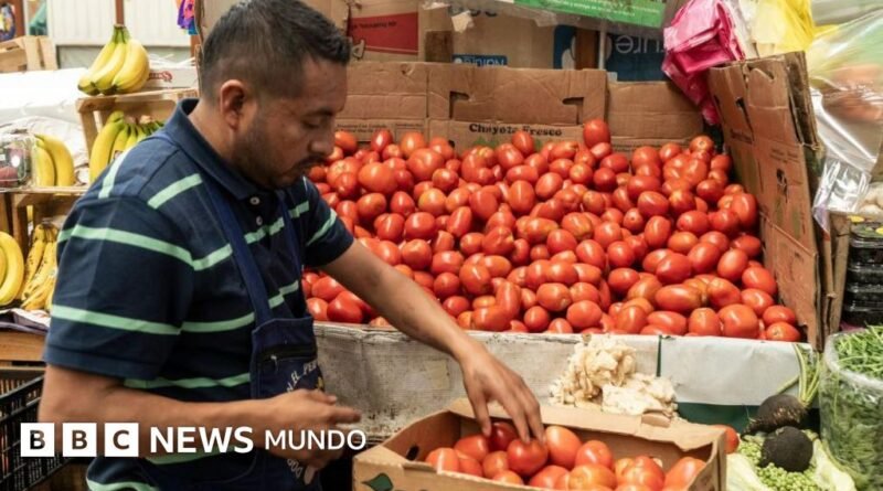 3 efectos que pueden tener los aranceles que Trump impuso a los tomates mexicanos - BBC News Mundo