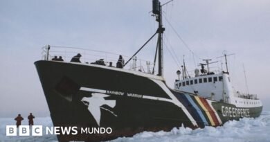 El día en que el servicio secreto de Francia hundió el Rainbow Warrior, el buque de Greenpeace que protestaba contra las pruebas nucleares en el Pacífico - BBC News Mundo