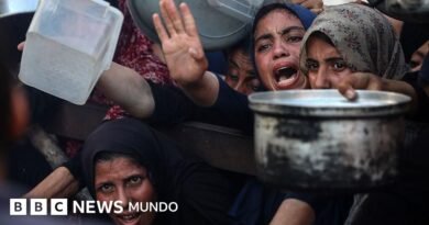 La ONU pide a Israel que permita el acceso de 6.000 camiones de ayuda humanitaria que esperan a entrar en Gaza - BBC News Mundo