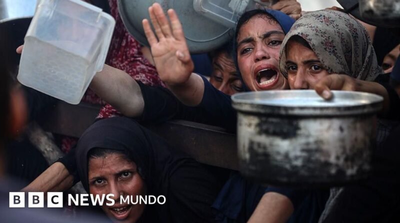 La ONU pide a Israel que permita el acceso de 6.000 camiones de ayuda humanitaria que esperan a entrar en Gaza - BBC News Mundo