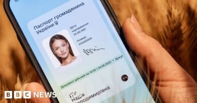 Por qué Ucrania es uno de los países más digitales del mundo (y cómo lo logró a pesar de la pandemia y la guerra con Rusia) - BBC News Mundo