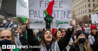 Proyecto Esther: el controvertido plan para desmantelar el movimiento propalestino en EE.UU. (y en qué coincide con lo que hace el gobierno de Trump) - BBC News Mundo