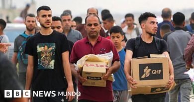 Qué contiene la controvertida caja de ayuda que distribuye la Fundación Humanitaria de Gaza - BBC News Mundo