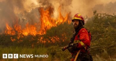 4 claves para entender la histórica ola de incendios que golpea a España y que va camino de batir récords de destrucción - BBC News Mundo