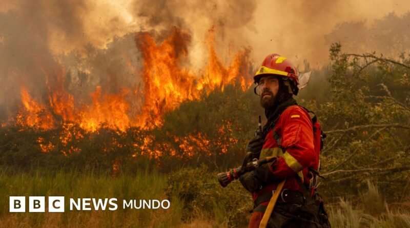 4 claves para entender la histórica ola de incendios que golpea a España y que va camino de batir récords de destrucción - BBC News Mundo