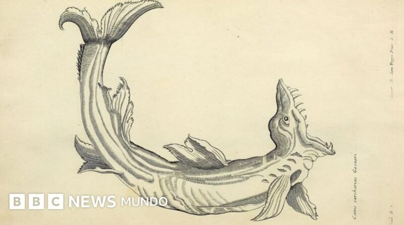 El libro que puso en riesgo la publicación de 