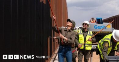 Por qué EE.UU. está pintando de negro el muro fronterizo con México - BBC News Mundo
