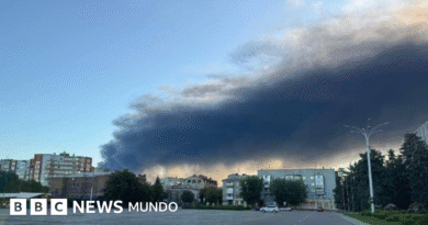 Por qué Rusia sigue bombardeando una refinería de petróleo de Ucrania que ya está destruida - BBC News Mundo