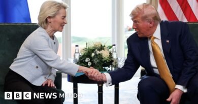 Quiénes ganan y quiénes pierden con el nuevo acuerdo comercial entre EE.UU. y la Unión Europea - BBC News Mundo