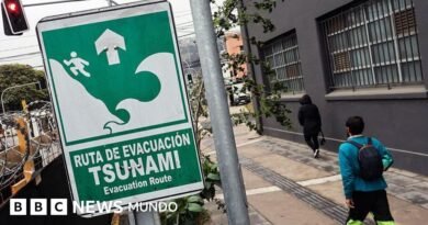 Terremoto en Rusia: por qué es difícil predecir el tamaño de las olas cuando se produce un tsunami - BBC News Mundo