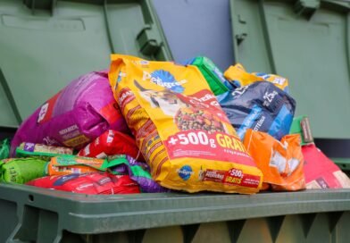 Chepe Guerrero arranca colecta “Abriga a tu Mascota” en favor de los animales rescatados