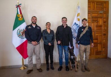 El marqués líder en protección animal en el estado