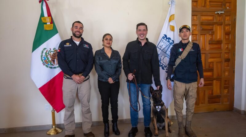 El marqués líder en protección animal en el estado