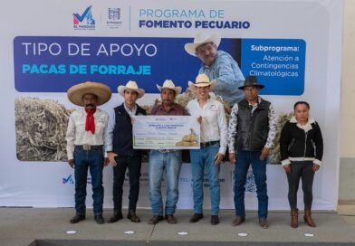 Rodrigo Monsalvo entrega 30 mil pacas de forraje en apoyo a productores pecuarios en El Marqués