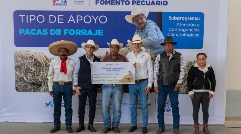 Rodrigo Monsalvo entrega 30 mil pacas de forraje en apoyo a productores pecuarios en El Marqués