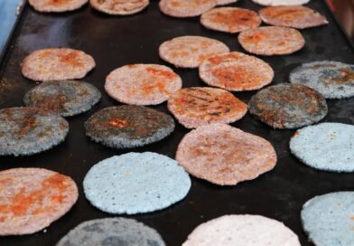 Un rotundo éxito el Festival del Nopal, el Pulque y la Gordita de Colón: Gaspar Trueba*