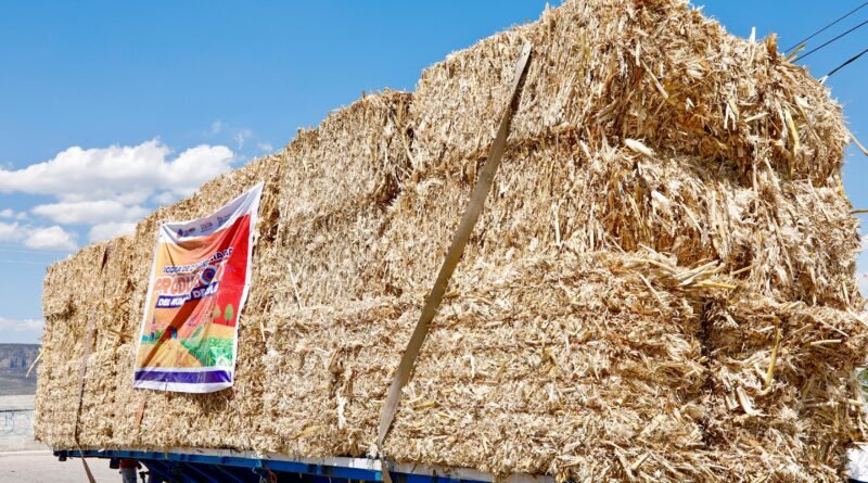 Refuerza Colón más Apoyos al Campo