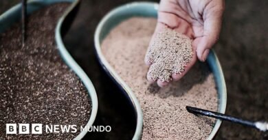 5 alimentos que ayudan a cuidar nuestros huesos (más allá de la leche) - BBC News Mundo