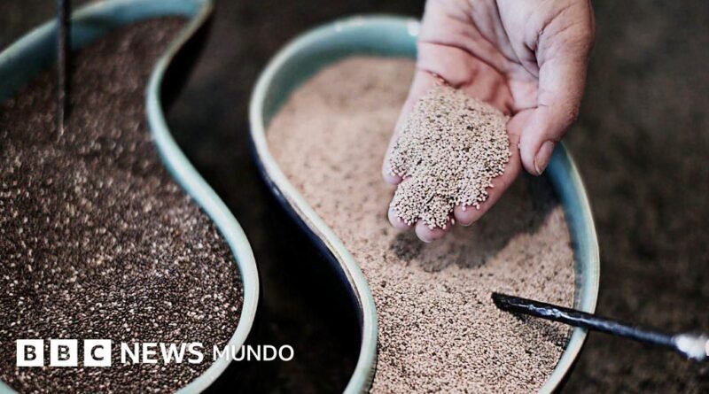 5 alimentos que ayudan a cuidar nuestros huesos (más allá de la leche) - BBC News Mundo