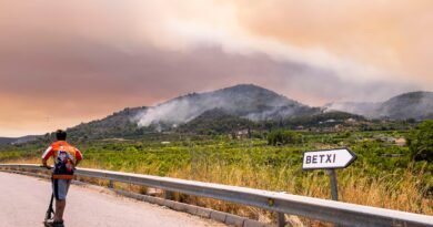 Anatomía de un desalojo: “Vi como el fuego avanzaba hacia mi casa”