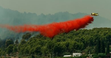 Así coordina Bruselas la ayuda para apagar los incendios en España y Francia