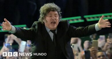 Brasil llama a consultas a su embajador en Argentina luego de que Milei calificara a Lula de “convicto” y “ladrón” en Sao Paulo - BBC News Mundo
