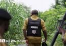 Cómo los carteles mexicanos de la droga han expandido los laboratorios de metanfetamina en África - BBC News Mundo