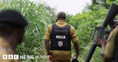 Cómo los carteles mexicanos de la droga han expandido los laboratorios de metanfetamina en África - BBC News Mundo