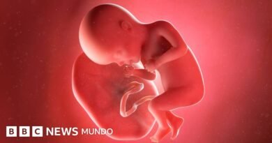 Cómo operaba la red acusada de traficar con placentas humanas en Pakistán (y por qué existe un mercado para ellas) - BBC News Mundo