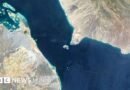 Cuál es la importancia del estrecho de Bab el-Mandeb, la estratégica ruta marítima del mar Rojo amenazada por los hutíes con el respaldo de Irán - BBC News Mundo
