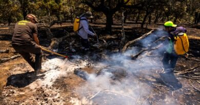 José Luis, Guardia Rural, y dos brigadistas, Carlos y Santi, apagan un conato de incendio en una finca  cerca del pueblo Aldea del Fresno, en Madrid. SAMUEL SÁNCHEZ