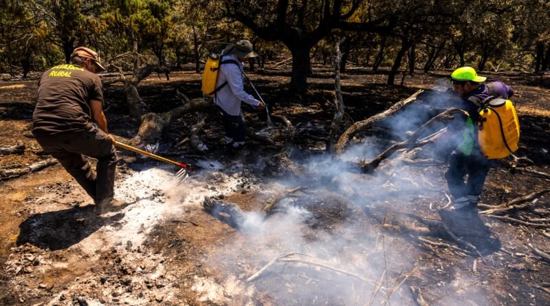 José Luis, Guardia Rural, y dos brigadistas, Carlos y Santi, apagan un conato de incendio en una finca cerca del pueblo Aldea del Fresno, en Madrid. SAMUEL SÁNCHEZ