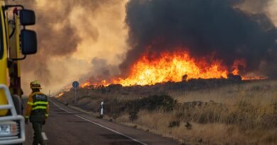 Desalojados 11 pueblos de Zamora tras un incendio en los Arribes del Duero