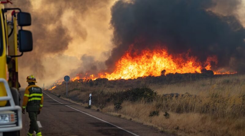 Desalojados 11 pueblos de Zamora tras un incendio en los Arribes del Duero