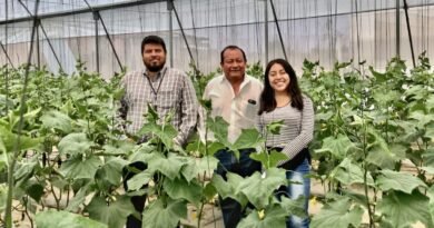 Earth-IoT: La startup mexicana que quiere convertirse en el Uber del campo