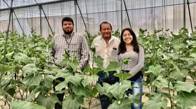 Earth-IoT: La startup mexicana que quiere convertirse en el Uber del campo
