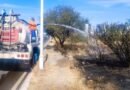 El Tangano sufre incendios constantes con intervención humana - RR Noticias