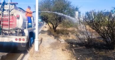 El Tangano sufre incendios constantes con intervención humana - RR Noticias