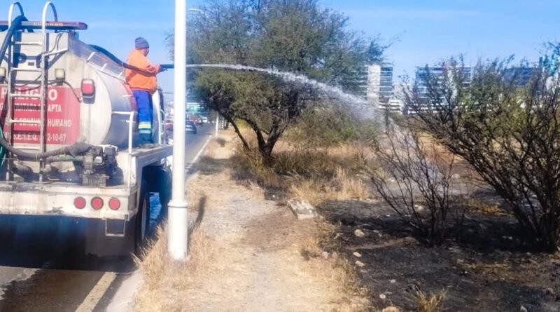 El Tangano sufre incendios constantes con intervención humana - RR Noticias