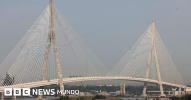 El nuevo puente que conecta a Canadá con EE.UU. y se convirtió en un símbolo de las divisiones entre ambos países - BBC News Mundo